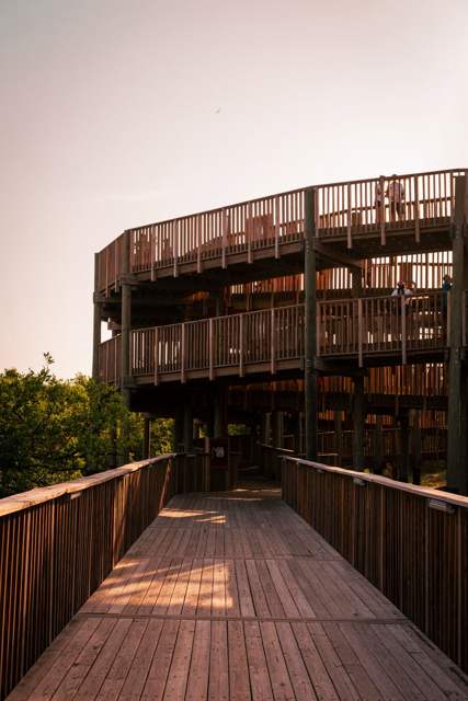 Mirador de madera y pasarela en Mallorquín