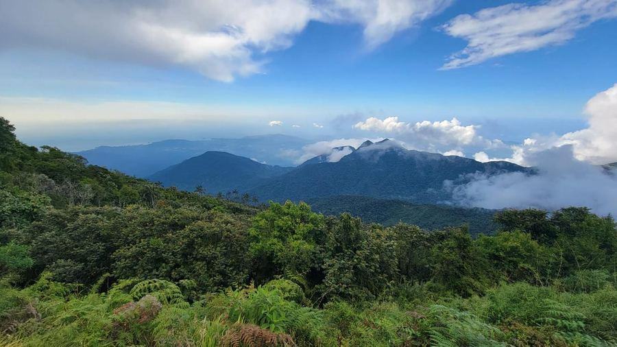 Montañas de la Sierra Nevada entre nubes, vistas desde un bosque verde